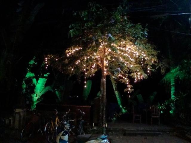 Riverside Guesthouse Luang Prabang Exterior photo
